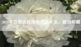 2020年百度优化排名方法大全，建议收藏