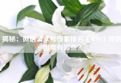 揭秘：微信公众号搜索排名（WSO）规则因素有哪些？