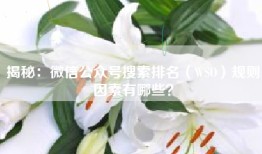 揭秘：微信公众号搜索排名（WSO）规则因素有哪些？