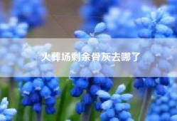 火葬场剩余骨灰去哪了