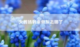 火葬场剩余骨灰去哪了