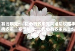 赛博朋克2077良心有多重完美结局攻略手机多重「赛博朋克2077良心有多重完美结局攻略」