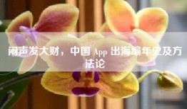 闷声发大财，中国 App 出海编年史及方法论