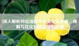 深入解析网站流量中英文专业术语，理解与优化网站流量的关键