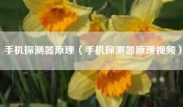 手机探测器原理（手机探测器原理视频）