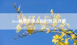Java使用百度人脸识别API攻略