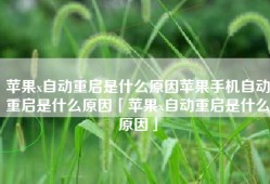 苹果x自动重启是什么原因苹果手机自动重启是什么原因「苹果x自动重启是什么原因」