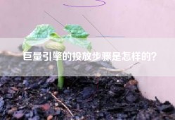 巨量引擎的投放步骤是怎样的？