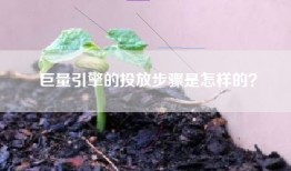 巨量引擎的投放步骤是怎样的？