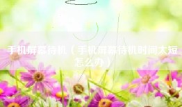 手机屏幕待机（手机屏幕待机时间太短怎么办）