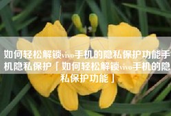 如何轻松解锁vivo手机的隐私保护功能手机隐私保护「如何轻松解锁vivo手机的隐私保护功能」