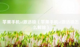 苹果手机id激活锁（苹果手机id激活锁怎么解除）
