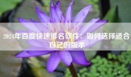 2024年百度快速排名软件：如何选择适合自己的版本