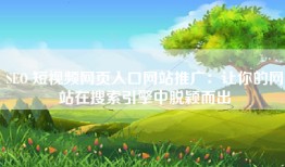SEO 短视频网页入口网站推广：让你的网站在搜索引擎中脱颖而出