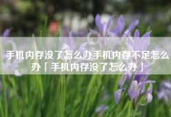 手机内存没了怎么办手机内存不足怎么办「手机内存没了怎么办」