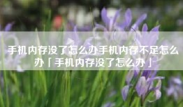 手机内存没了怎么办手机内存不足怎么办「手机内存没了怎么办」