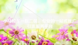 小马拉车一区二区，专业的一站式推广引流服务平台