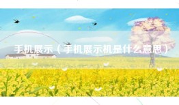 手机展示（手机展示机是什么意思）