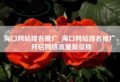 海口网站排名推广_海口网站排名推广，开启网络流量新征程