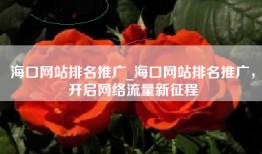 海口网站排名推广_海口网站排名推广，开启网络流量新征程