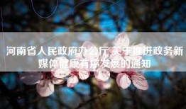 河南省人民政府办公厅 关于推进政务新媒体健康有序发展的通知