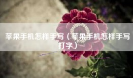 苹果手机怎样手写（苹果手机怎样手写打字）
