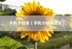 手机小链接（手机小链接地址）