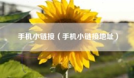 手机小链接（手机小链接地址）