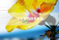 尘牛软件拼多多版