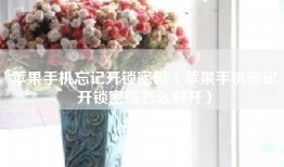 苹果手机忘记开锁密码（苹果手机忘记开锁密码怎么解开）