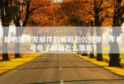 能给国外发邮件的邮箱怎么登录？手机号电子邮箱怎么填写？