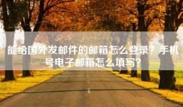 能给国外发邮件的邮箱怎么登录？手机号电子邮箱怎么填写？