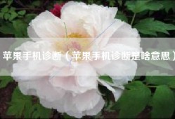 苹果手机诊断（苹果手机诊断是啥意思）