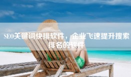 SEO关键词快排软件，企业飞速提升搜索排名的软件