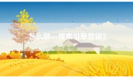 怎么做seo搜索引擎营销？