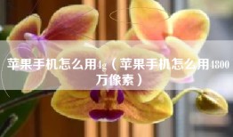 苹果手机怎么用4g（苹果手机怎么用4800万像素）