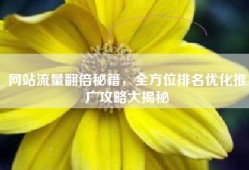 网站流量翻倍秘籍，全方位排名优化推广攻略大揭秘