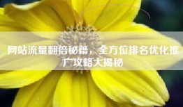 网站流量翻倍秘籍，全方位排名优化推广攻略大揭秘