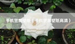手机竖屏壁纸（手机竖屏壁纸高清）