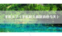 手机火了（手机起火最新消息今天）