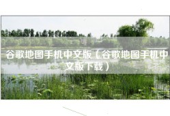 谷歌地图手机中文版（谷歌地图手机中文版下载）