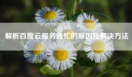 解析百度云服务器忙的原因及解决方法