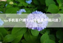 nga手机客户端（nga手机客户端闪退）