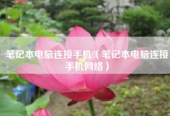 笔记本电脑连接手机（笔记本电脑连接手机网络）