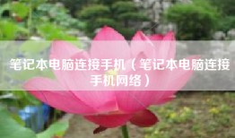 笔记本电脑连接手机（笔记本电脑连接手机网络）