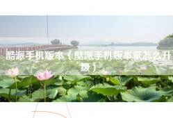 酷派手机版本（酷派手机版本低怎么升级）