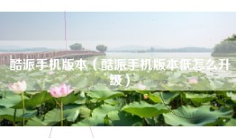 酷派手机版本（酷派手机版本低怎么升级）
