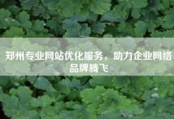 郑州专业网站优化服务，助力企业网络品牌腾飞