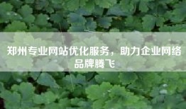 郑州专业网站优化服务，助力企业网络品牌腾飞