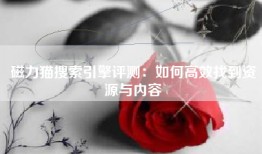 磁力猫搜索引擎评测：如何高效找到资源与内容